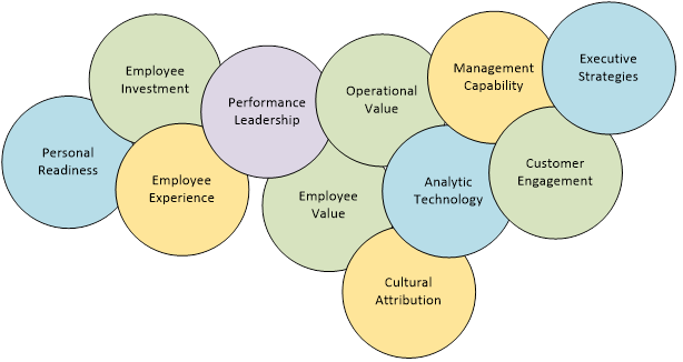 Organizational Capability Assessments
