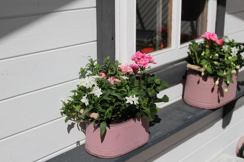 Blumenmix in Blechwanne Rosa (klein)