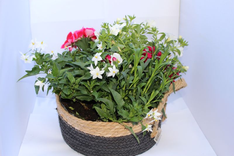 Blumenmix in schwarzen Korb