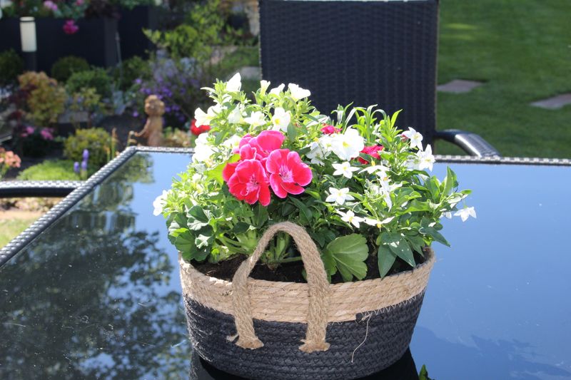 Blumenmix in schwarzen Korb
