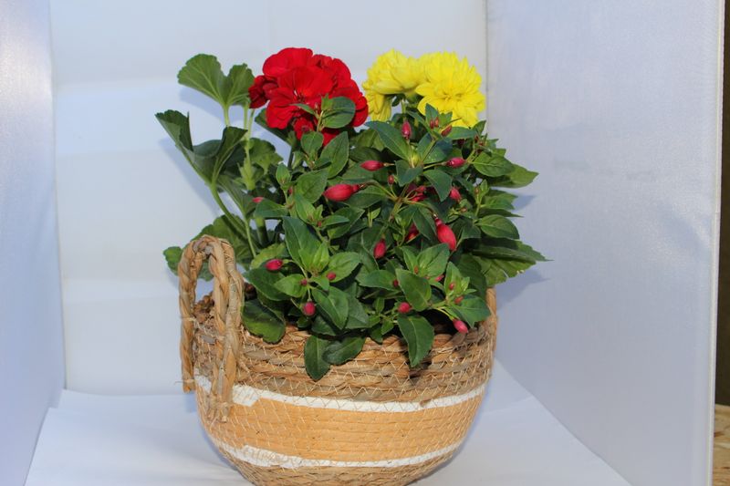 Blumenmix in Körbchen (klein)