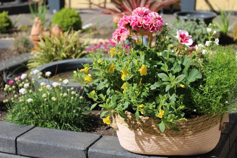 Blumenmix in länglichen rosa Körbchen