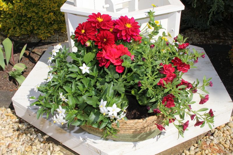 Blumenmix in länglichen grünem Körbchen (groß)