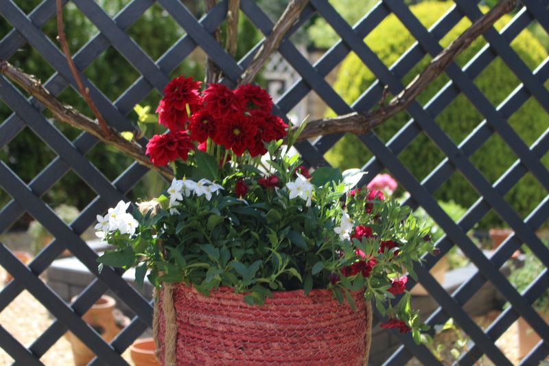 Blumenmix in roten Körbchen 