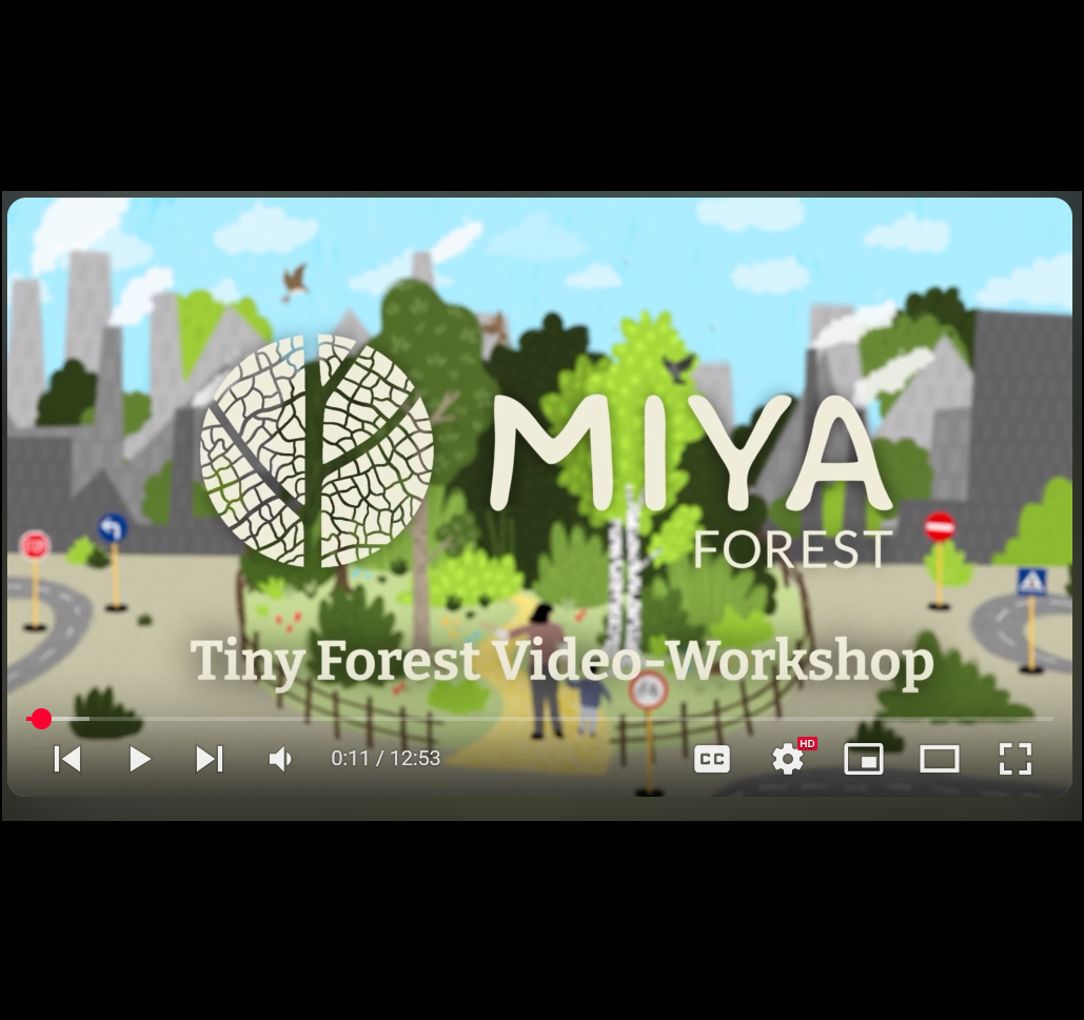 Tiny Forest Video-Workshop