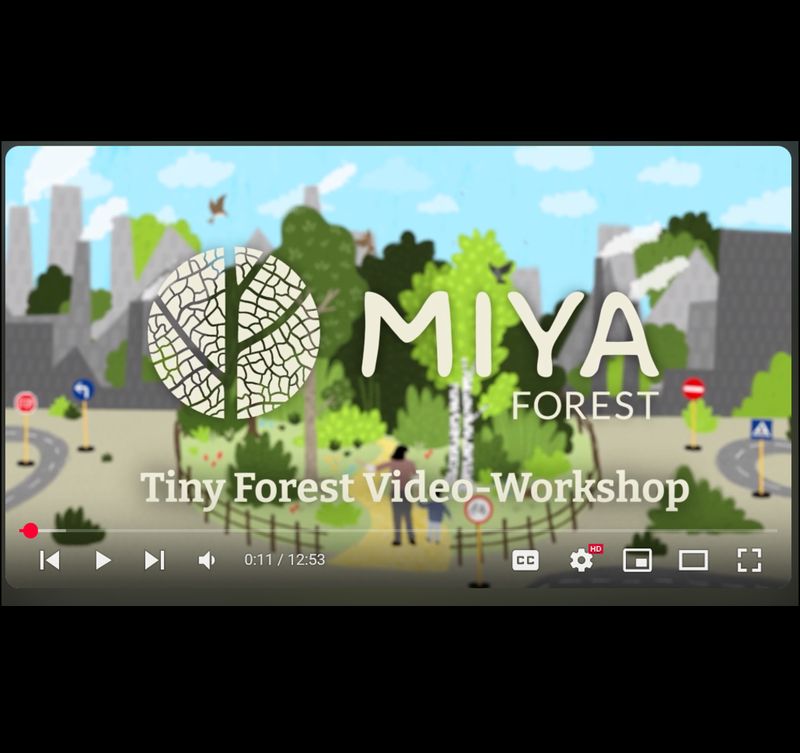 Tiny Forest Video-Workshop