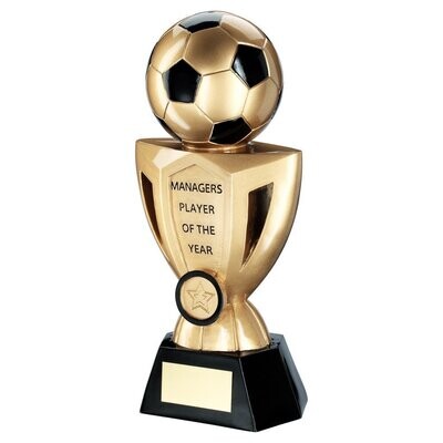 Resin Football Awards In 4 Titles RF980MA 254mm