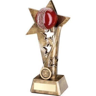 Resin Cricket Awards 3 Sizes RF656A 191mm