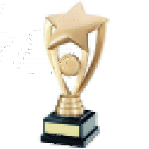 Resin Multi Awards In 3 Sizes RF16A  171mm