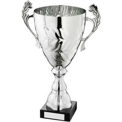 Trophy Cups on Marble Base In 6 Sizes AT31A 254mm