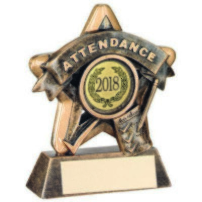 Resin Attendance School Award RF401 95mm