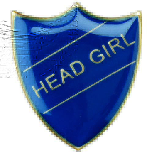 Metal Badges , Head Girl ,  Blue,Red,Yellow ,Green BDG HG