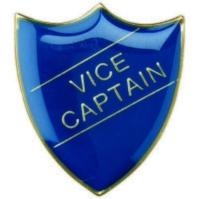 Metal Badges ,Vice Captain ,  Blue,Red,Yellow ,Green BDG-VC