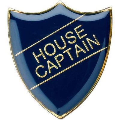 Metal Badges ,House Captain ,  Blue,Red,Yellow ,Green BDG-HC