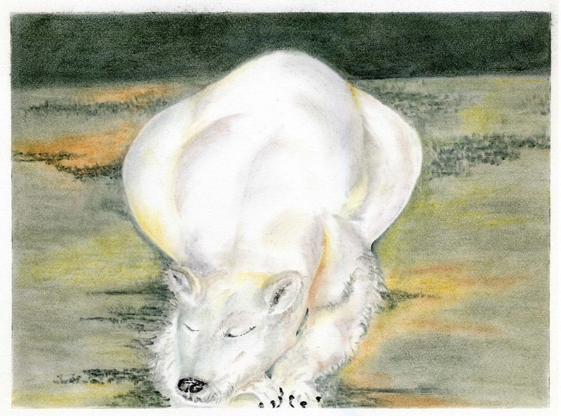 Columbus Polar Bear