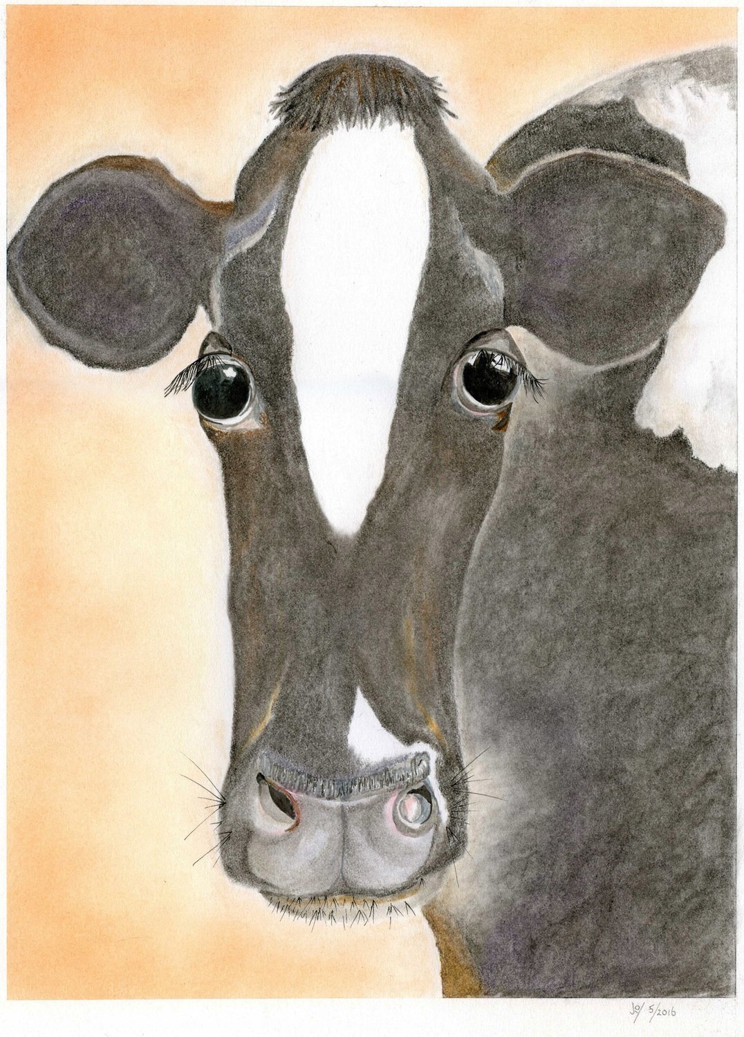 Cow