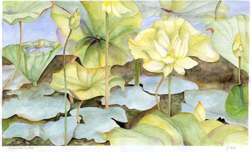 Seneca Lake Lily Pads
