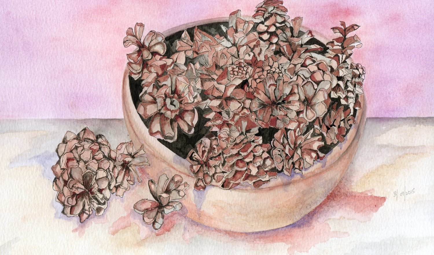 pinecones
