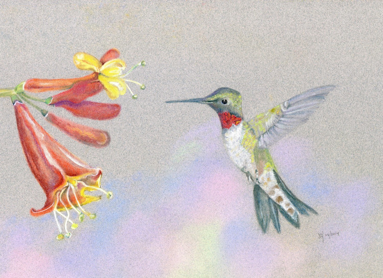 Hummingbird