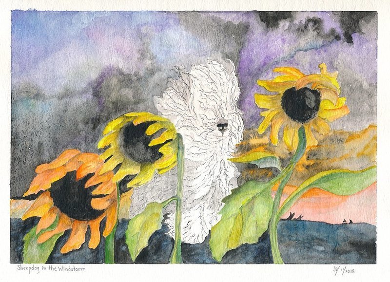 Sheepdog in the Windstorm