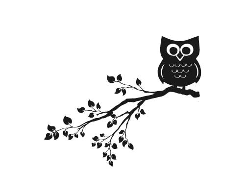 Owl Branch