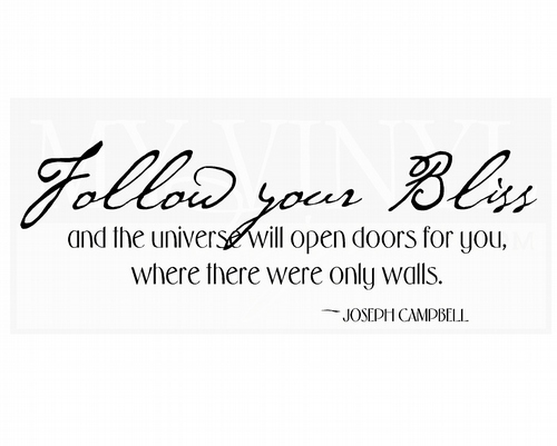 IN019 Follow your Bliss and the universe will open doors for you