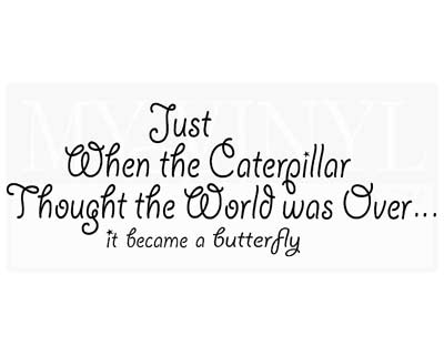 IN028 Just when the caterpillar thought the world was over