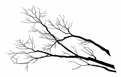 BC313 Large Tree Branch
