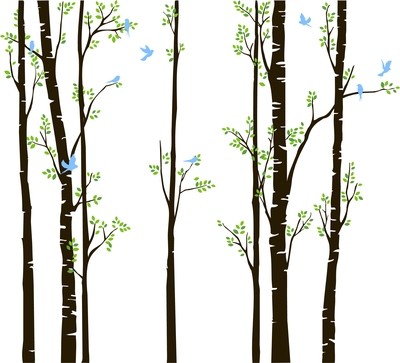 IM008 7 Aspen Trees with leaves and birds