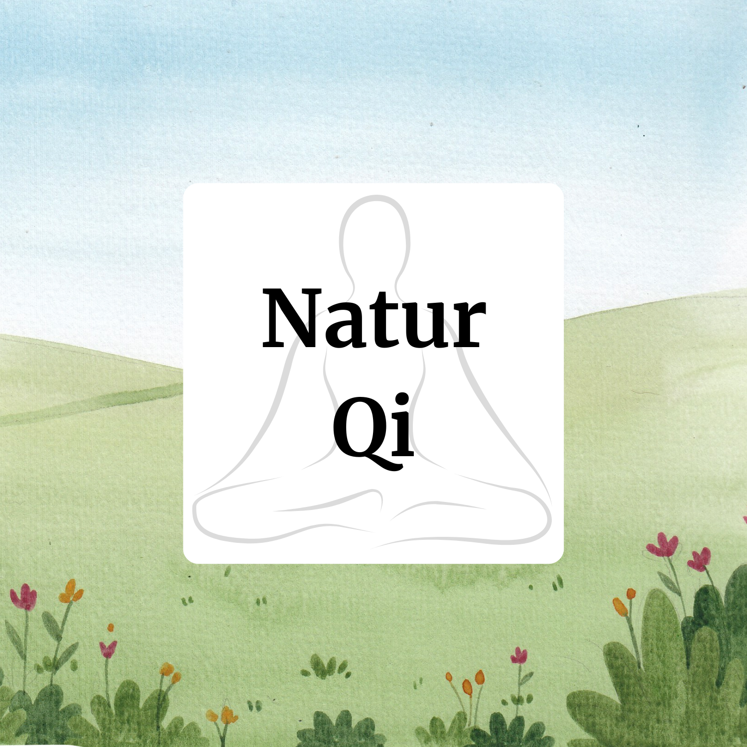15er Karte NaturQi