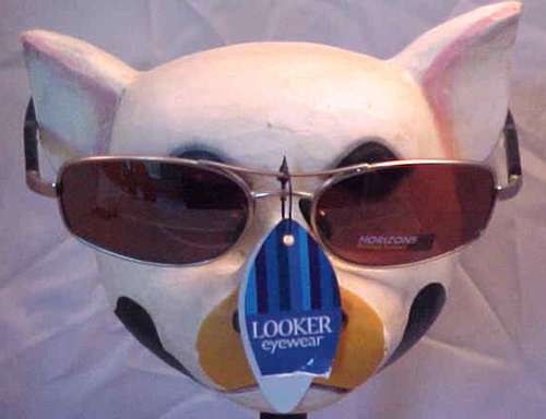 Looker Sunglasses Brown Silver Rims Metal Frames