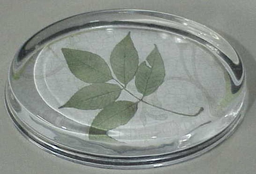 BirchWood Tim Coffey Vintage 5 leaf Drawing PaperWeight