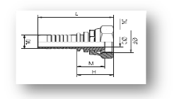 RAC.FEM. BSP 60°