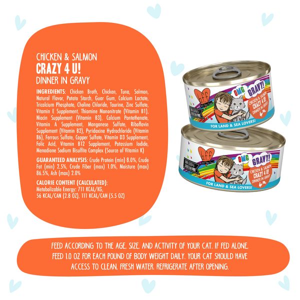 Weruva Cat BFF OMG Chicken Salmon Crazy 4 U