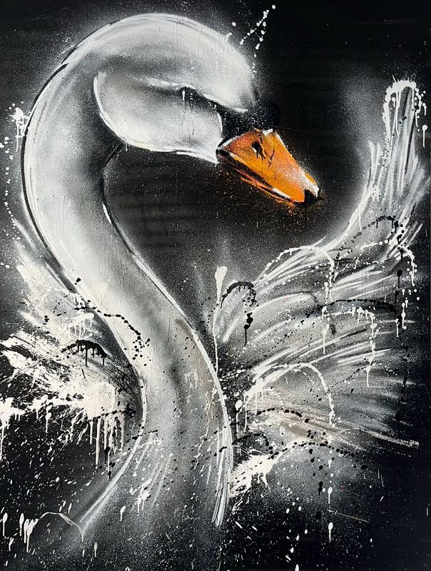 Black swan