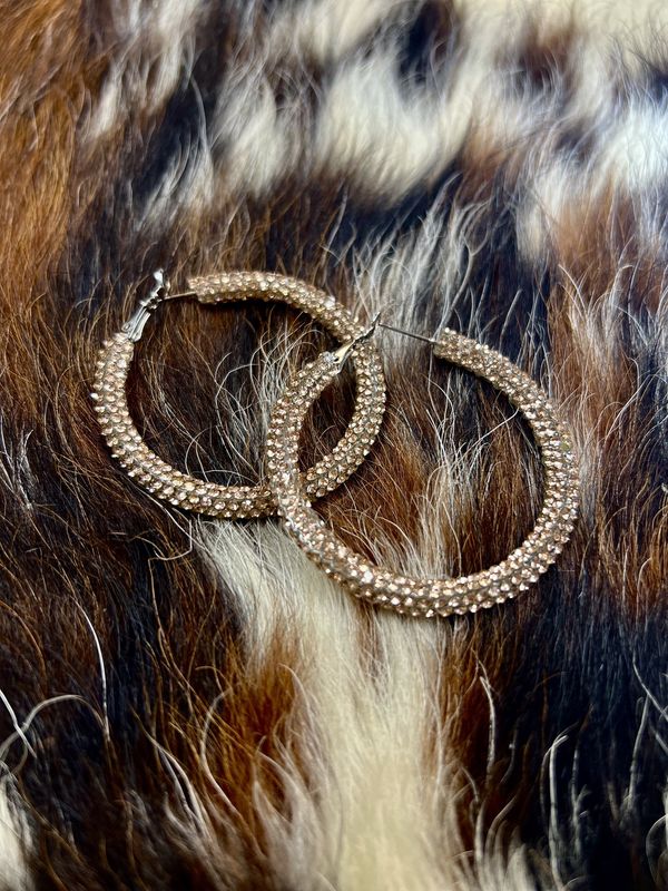 Studded Hoop Earrings