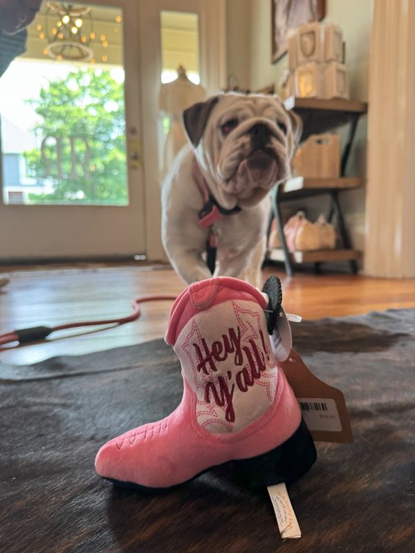 Pink Cowgirl Boot
