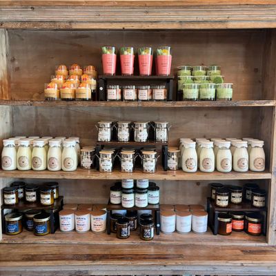Candles