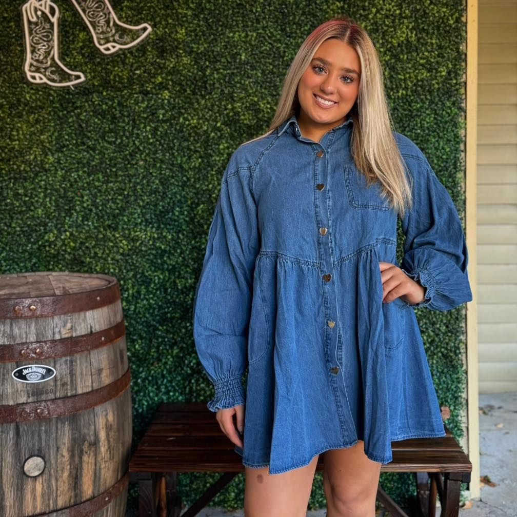 Denim Button Down Shirt Dress, Size: Small