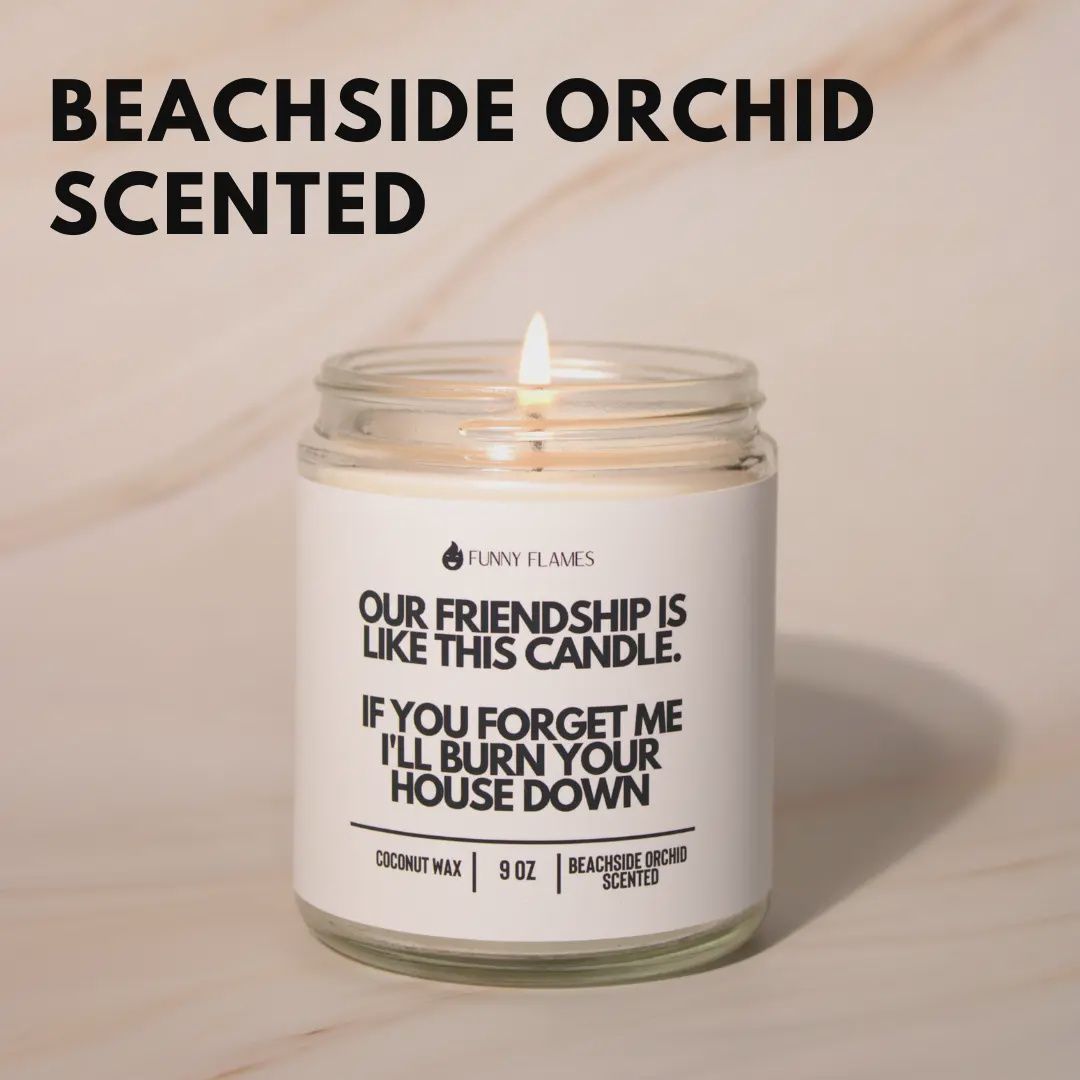 Our Friendship Is Like This Candle If You Forget About Me...