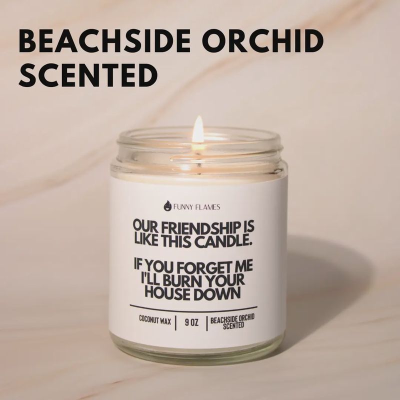 Our Friendship Is Like This Candle If You Forget About Me...