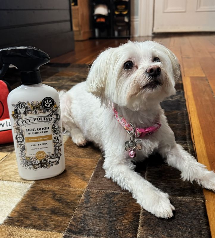 Pet~Pourri Dog Canine Coconut Air + Fabric Odor Refresher