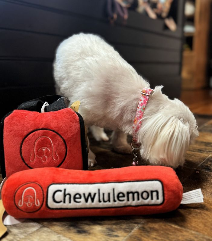 Chewlulemon Yoga Mat Dog Toy