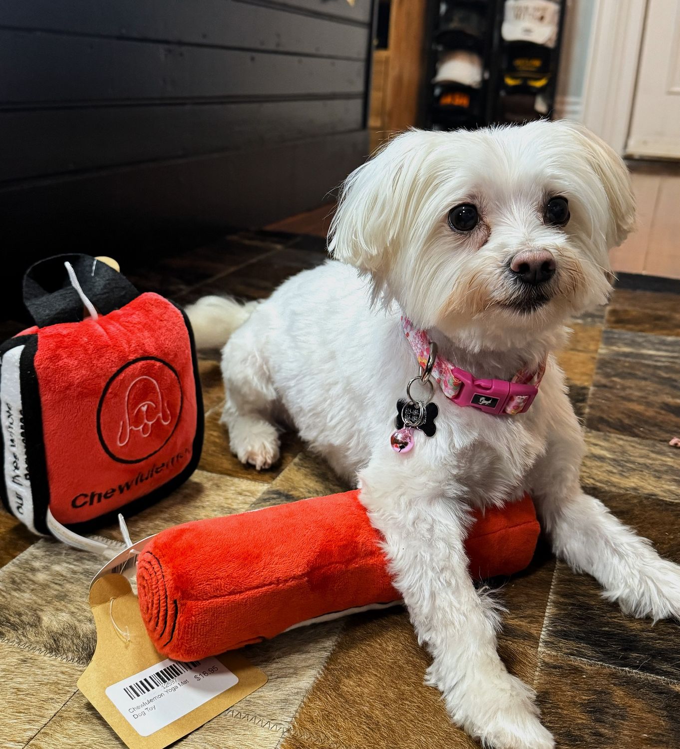 Chewlulemon Tote Bag Squeaker Dog Toy