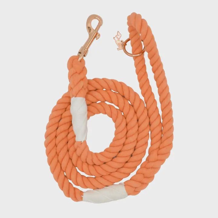 Dog Leash, Color: Clementine