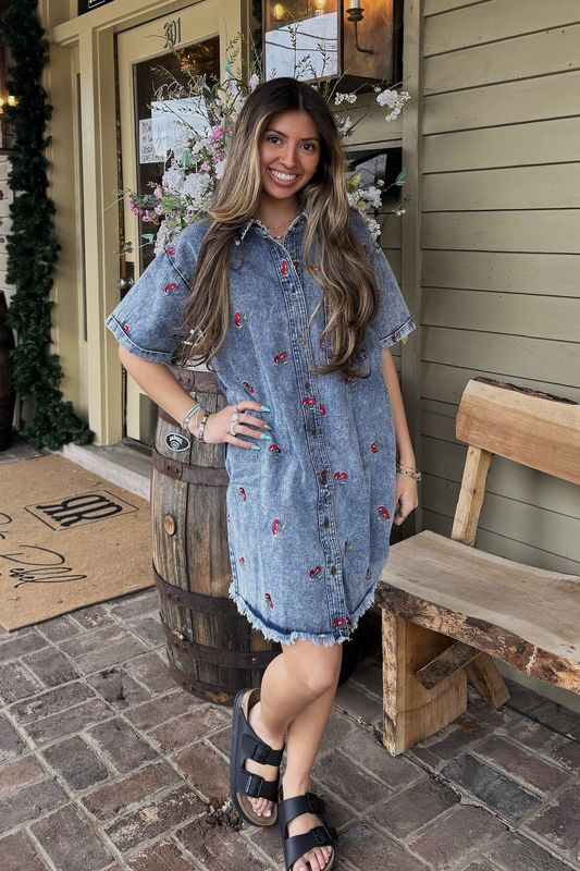 Cherry Embroidered Short Sleeves Denim Shirt Dress