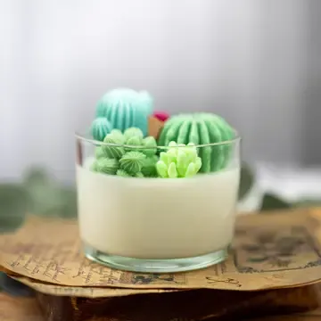 Large Glass Succulent Cacti Candle, Succulent Cacti Terrariu