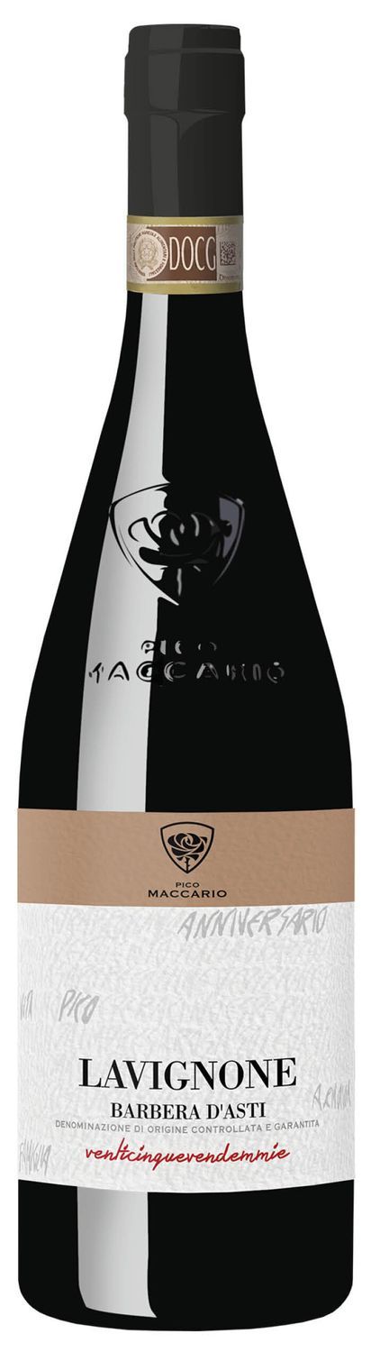 Barbera d’Asti Lavignone Magnum 150 cl