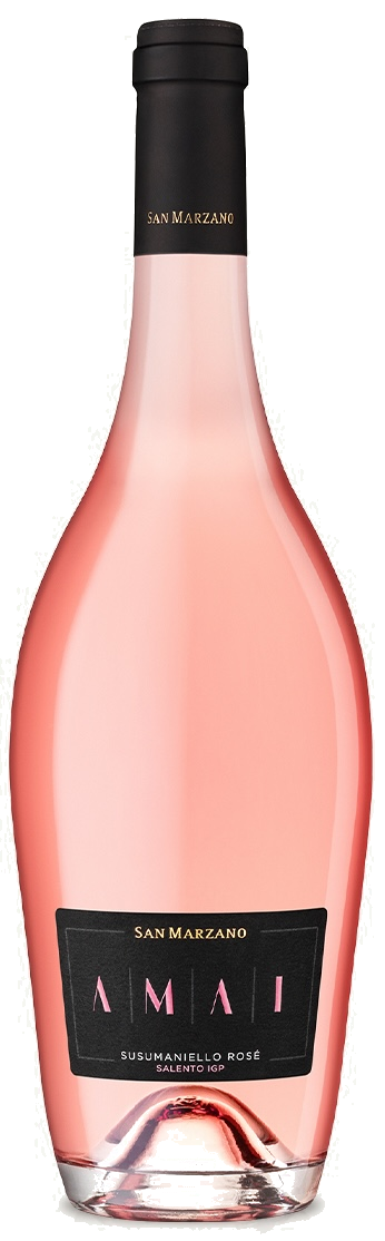 San Marzano "Amai" Rose