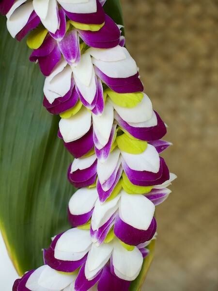 MIXED COLOR ORCHID FEATHER LEI - WHITE + GREEN + PURPLE